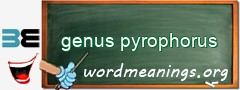 WordMeaning blackboard for genus pyrophorus